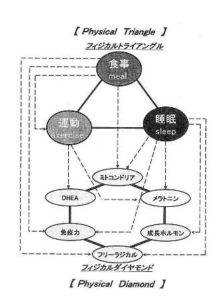豊田市の丸子歯科　アンチエイジングセミナー　第2弾