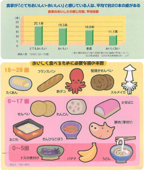 おいしく食べるために必要な歯の本数 おいしく食べるために必要な歯の本数