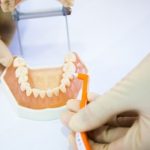 プラウトの紹介