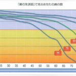 歯年齢チェック