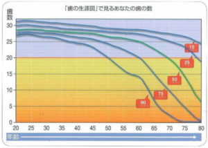 歯年齢チェック