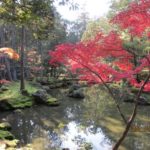 豊田市の丸子歯科 京都に行ってきました★