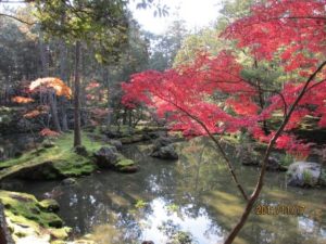豊田市の丸子歯科　京都に行ってきました★