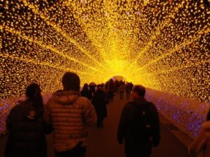 なばなの里ウィンターイルミネーション なばなの里ウィンターイルミネーション