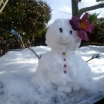 豊田市の丸子歯科　大雪の日