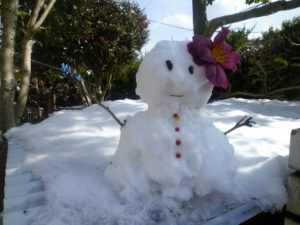 豊田市の丸子歯科　大雪の日