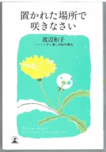 豊田市の丸子歯科　最近読んだ本/子供さんがいても大丈夫