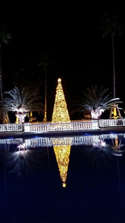 イルミネーション