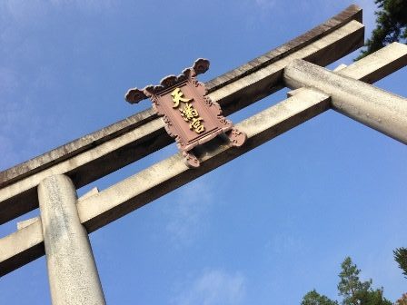 歯の健康を願って