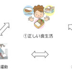 豊田市の丸子歯科　免疫力をあげる