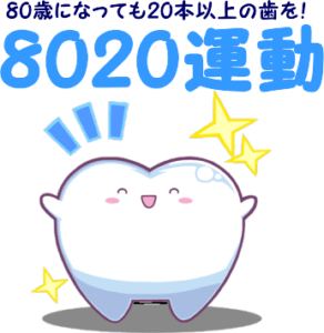 豊田市の丸子歯科　「8020運動」